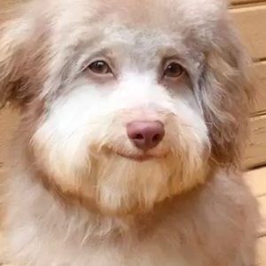 Meet your Posher, Juandale